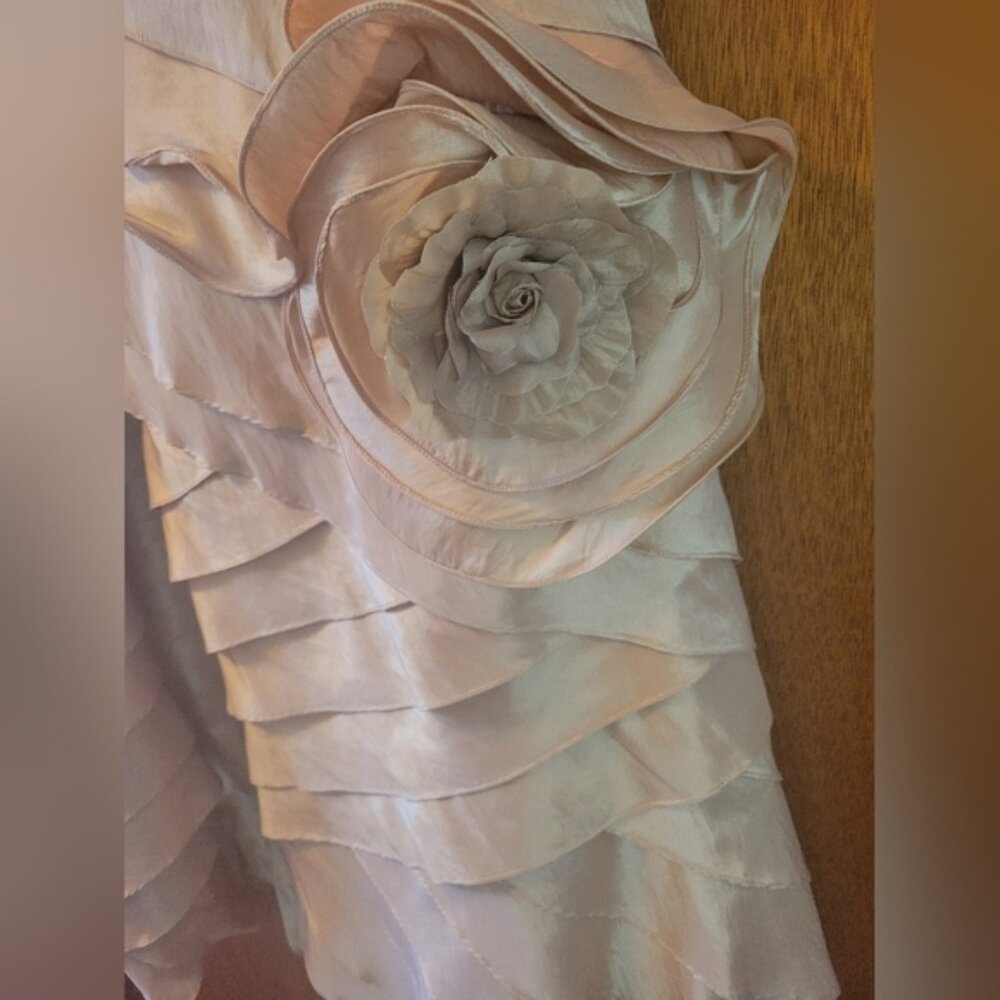 Beautiful Gown - Picture 5 of 5